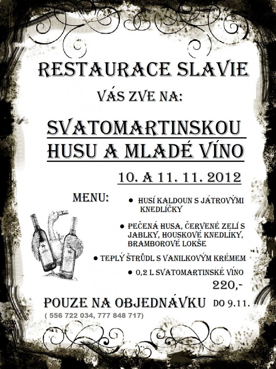 Svatomartinská husa