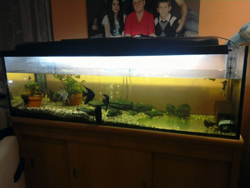 Akvarium 500l