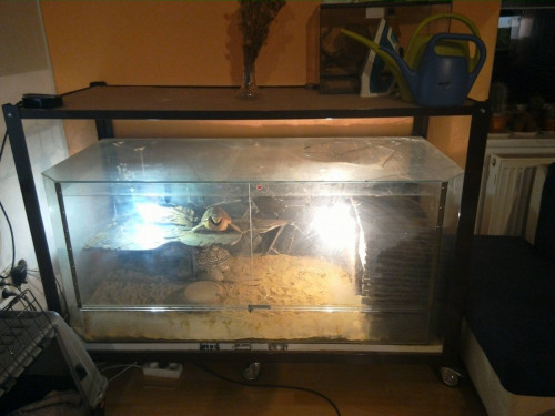 Prodam velke terarium
