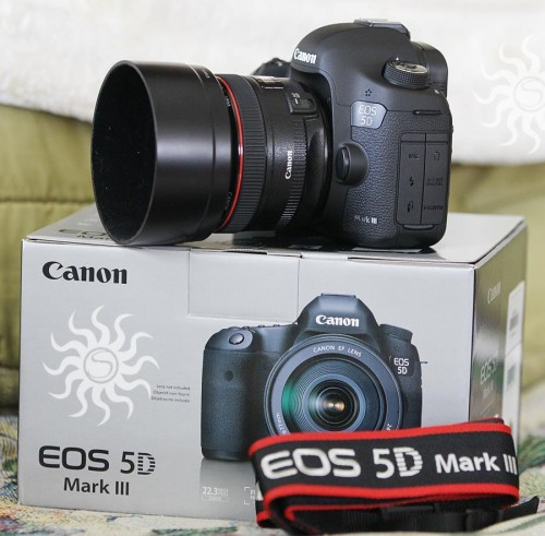 Canon EOS 5D Mark III s objektivem EF 24-105mm IS €1000