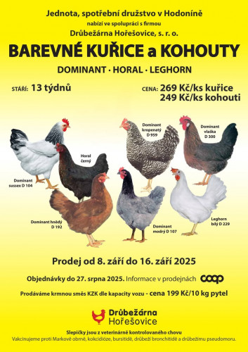 🐔 Prodej slepiček – DRŮBEŽÁRNA HOŘEŠOVICE 🐔