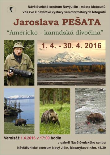AMERICKO – KANADSKÁ DIVOČINA
