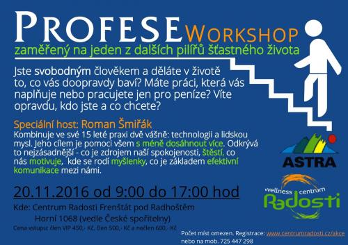 PROFESE Workshop