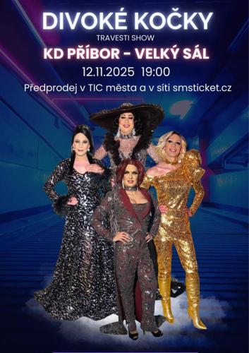 DIVOKÉ KOČKY