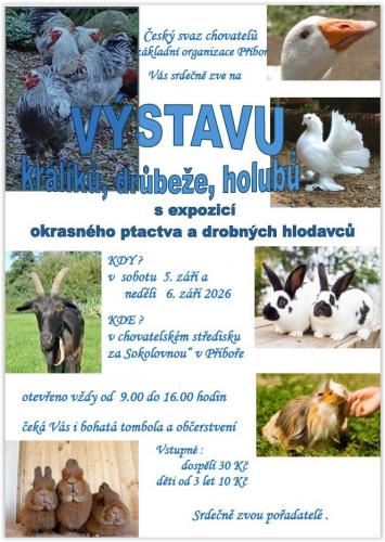 VÝSTAVU králíků, drůbeže, holubů