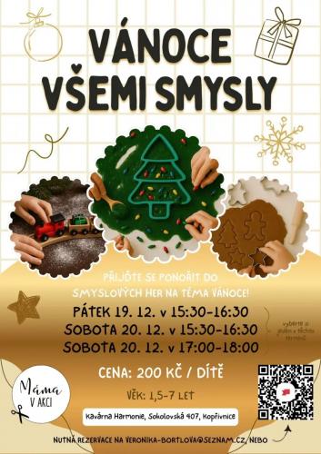 Vánoce všemi smysly